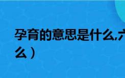 孕育的意思是什么,六年级（孕育的意思是什么）