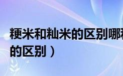 粳米和籼米的区别哪种适合炒饭（粳米和籼米的区别）