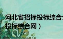 河北省招标投标综合公共服务平台（河北省招投标综合网）