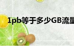 1pb等于多少GB流量（1pb等于多少gb）