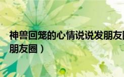 神兽回笼的心情说说发朋友圈搞笑（神兽回笼的心情说说发朋友圈）