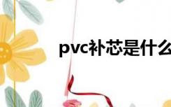 pvc补芯是什么（补芯是什么）