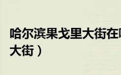 哈尔滨果戈里大街在哪个位置（哈尔滨果戈里大街）