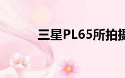 三星PL65所拍摄图（三星pl65）