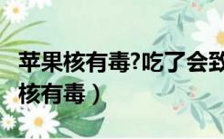 苹果核有毒?吃了会致命?真相究竟如何（苹果核有毒）