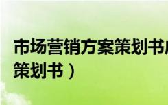 市场营销方案策划书成本结构（市场营销方案策划书）