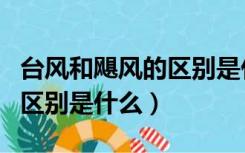 台风和飓风的区别是什么意思（台风和飓风的区别是什么）