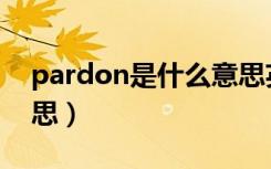 pardon是什么意思英语（pardon是什么意思）