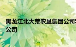 黑龙江北大荒农垦集团公司农垦总局黑龙江北大荒农业有限公司