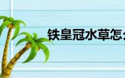 铁皇冠水草怎么养（铁皇冠）