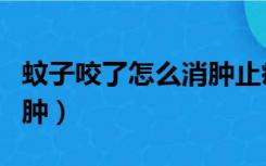 蚊子咬了怎么消肿止痒最快（蚊子咬了怎么消肿）