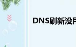 DNS刷新没用（dns刷新）