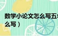 数学小论文怎么写五年级下册（数学小论文怎么写）