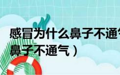 感冒为什么鼻子不通气吃什么药（感冒为什么鼻子不通气）