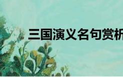 三国演义名句赏析（三国演义名句）