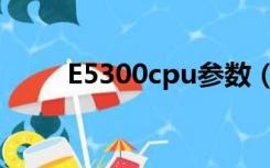 E5300cpu参数（e5300cpu参数）