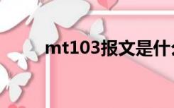 mt103报文是什么意思（mt103）