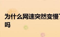 为什么网速突然变慢了跟断网一样能为问客服吗