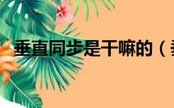 垂直同步是干嘛的（垂直同步是什么意思）