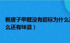 新房子甲醛没有超标为什么还有味道（新房甲醛没超标为什么还有味道）