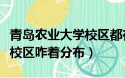 青岛农业大学校区都在青岛吗（青岛农业大学校区咋着分布）