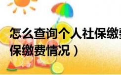 怎么查询个人社保缴费情况（如何查询个人社保缴费情况）