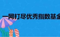 一网打尽优秀指数基金（淘金100指数基金）