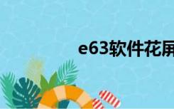 e63软件花屏（e63软件）