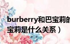 burberry和巴宝莉的区别（baneberry跟巴宝莉是什么关系）