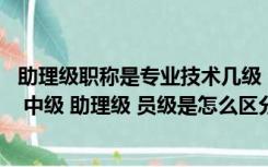 助理级职称是专业技术几级（请问什么是专业职称 例如高级 中级 助理级 员级是怎么区分  _360）