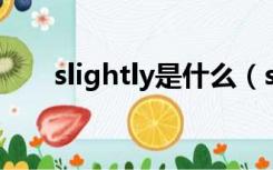 slightly是什么（sliverlight是什么）