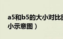 a5和b5的大小对比图片（a4 a5 a6 b5的大小示意图）