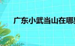 广东小武当山在哪里（武当山在哪里）