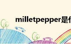 milletpepper是什么品牌（millet）