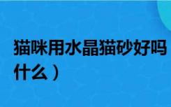 猫咪用水晶猫砂好吗（水晶猫砂的特性应用是什么）