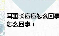 耳垂长痘痘怎么回事,碰到很痛（耳垂长痘痘怎么回事）