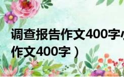 调查报告作文400字小学生近视眼（调查报告作文400字）