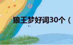 狼王梦好词30个（狼王梦好词100个）