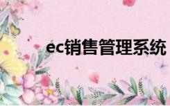 ec销售管理系统（ec营销即时通）