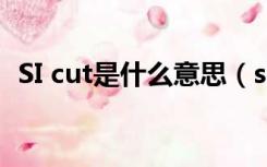 SI cut是什么意思（si cut off是什么意思）