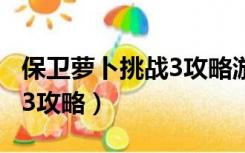 保卫萝卜挑战3攻略游乐场40（保卫萝卜挑战3攻略）