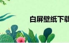 白屏壁纸下载（白屏壁纸）