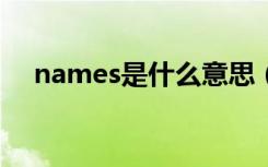 names是什么意思（name是什么意思）