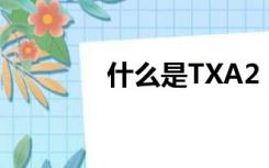 什么是TXA2（什么是TXS）