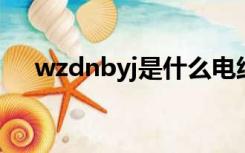 wzdnbyj是什么电线（byj是什么电线）