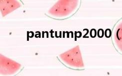 pantump2000（pantum p2000）