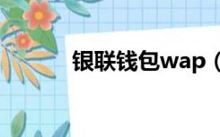 银联钱包wap（银联钱包官网）