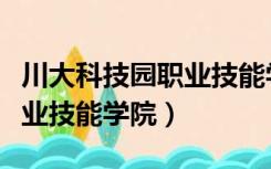 川大科技园职业技能学院电话（川大科技园职业技能学院）