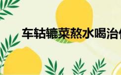 车轱辘菜熬水喝治什么病（车轱辘菜）