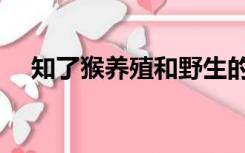 知了猴养殖和野生的区别（知了猴养殖）